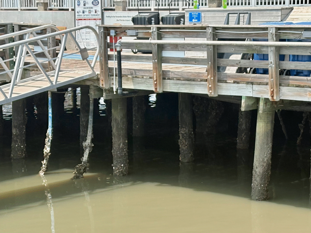 Deteriorated pilings and structural supports are visible beneath the former Brett's Waterway Café building at Fernandina Beach Marina. Photo by Kate Kimmel/Nassau NewsLine